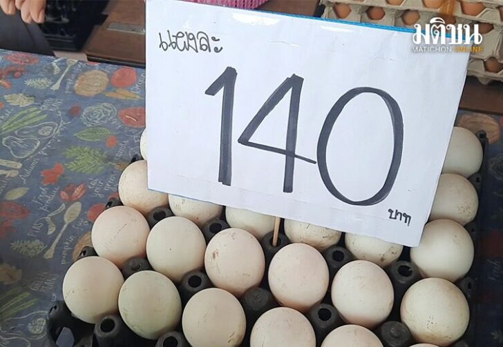 ไข่เป็ด01