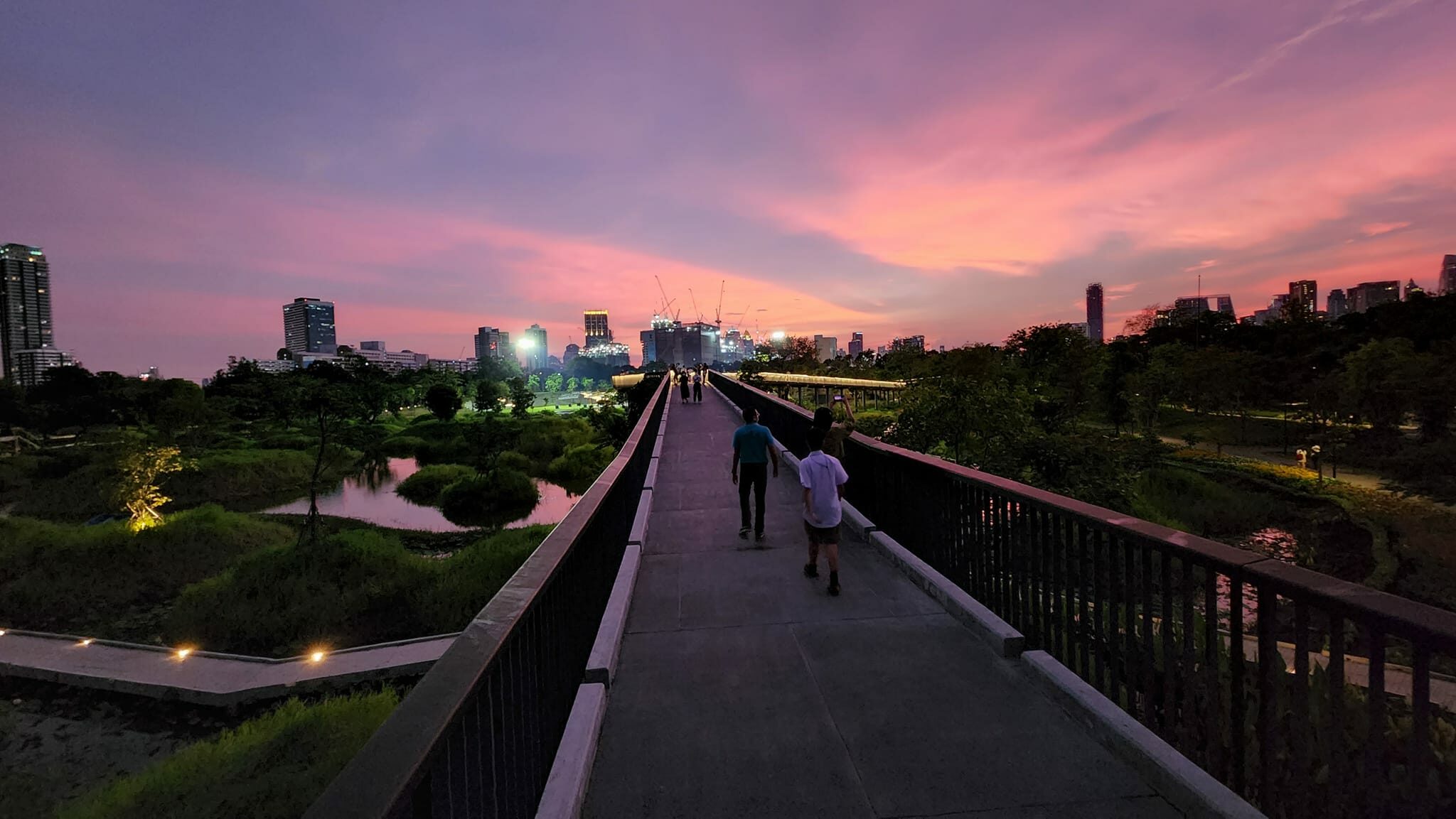 สวนป่าเบญจกิติ