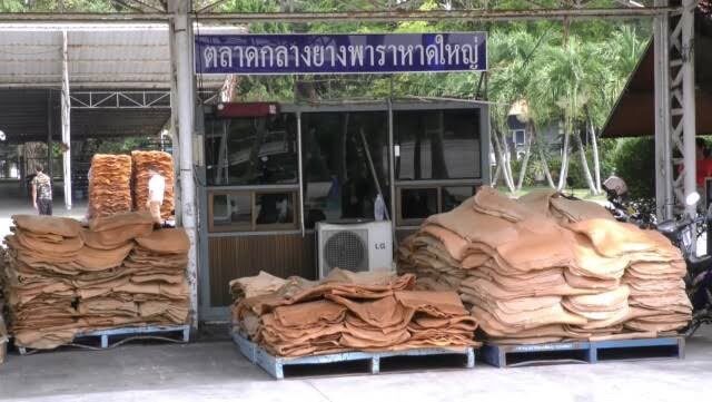 ‘อลงกรณ์’ เผยครึ่งปีแรก ไทยยืนแชมป์โลกส่งออกยาง ครองตลาดจีน 49% ออก 6 มาตรการเชิงรุก