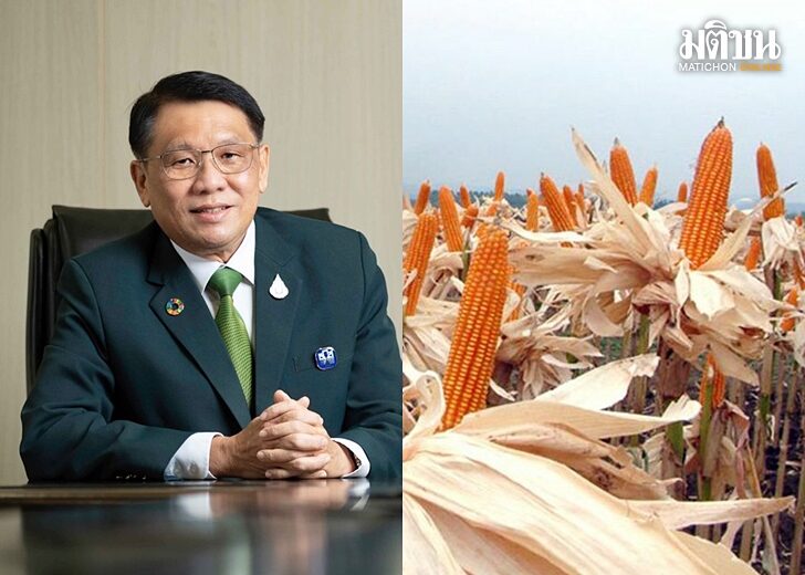 ธกส-ประกันข้าวโพด