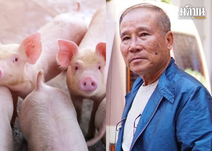 หมู1