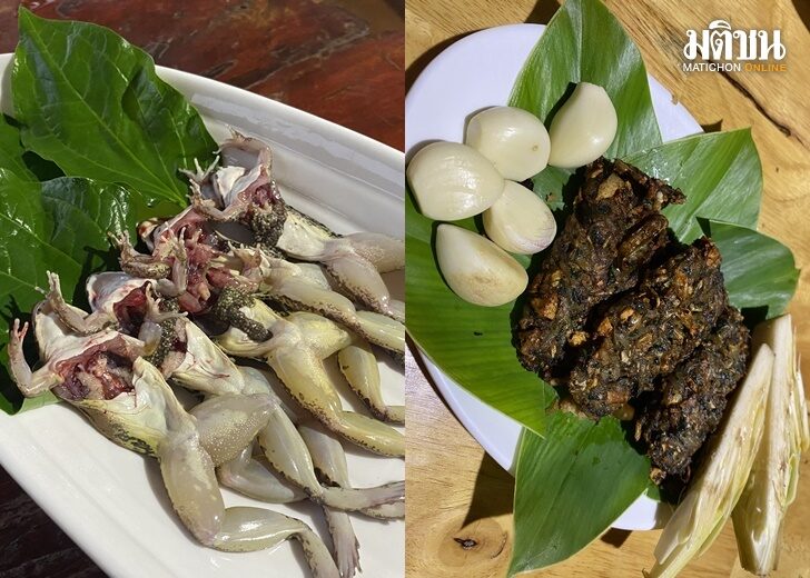 เขียด5