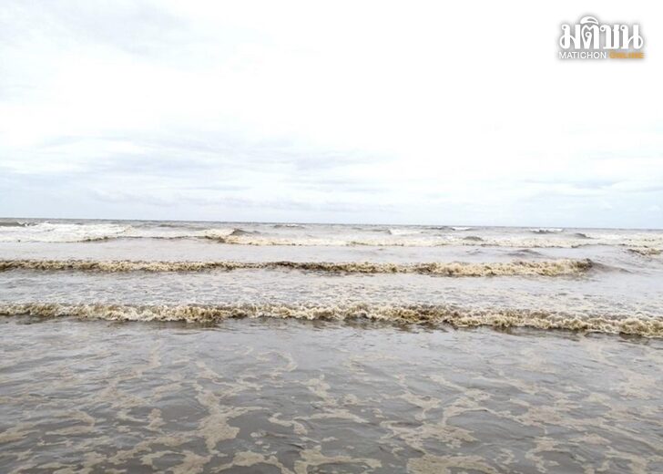 ‘แพลงก์ตอน’ สะพรั่ง ทำน้ำทะเลหาดแม่รำพึง ระยอง เปลี่ยนเป็นสีน้ำตาล
