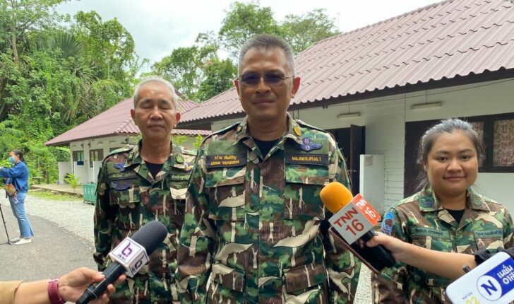 56 ป่าหม้