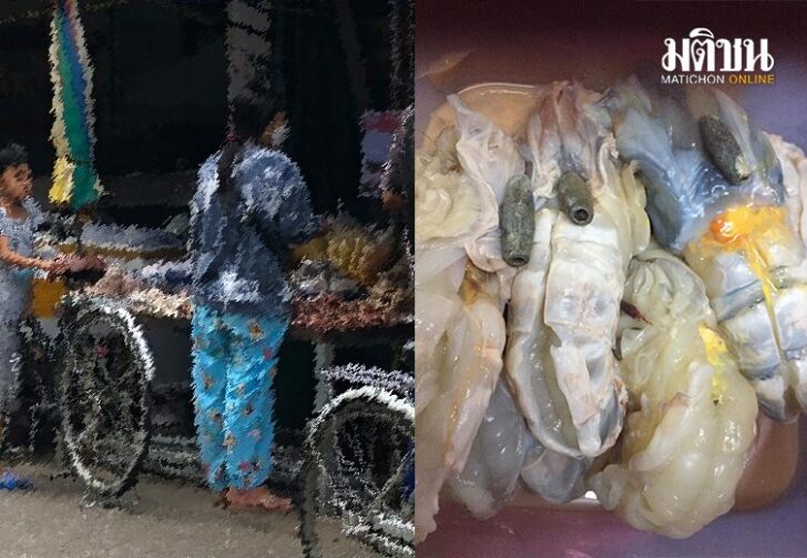 กุ้ง4654