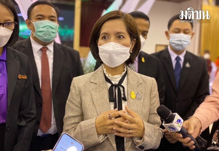 ขนาดเว็บตรีนุช1654