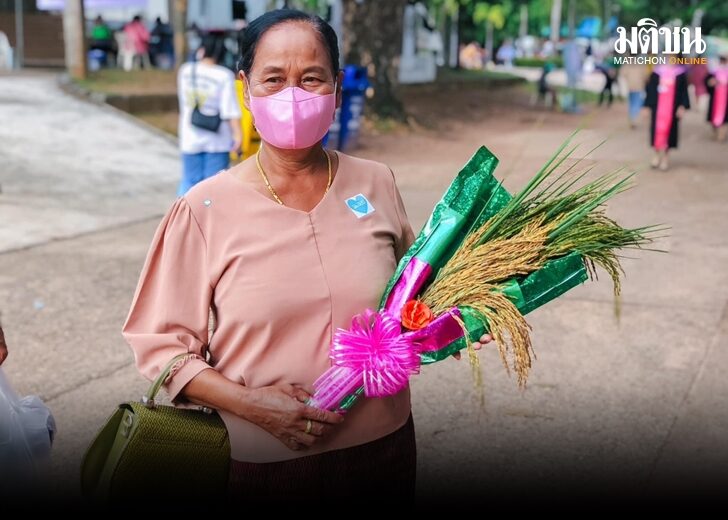 รวงข้าว 728