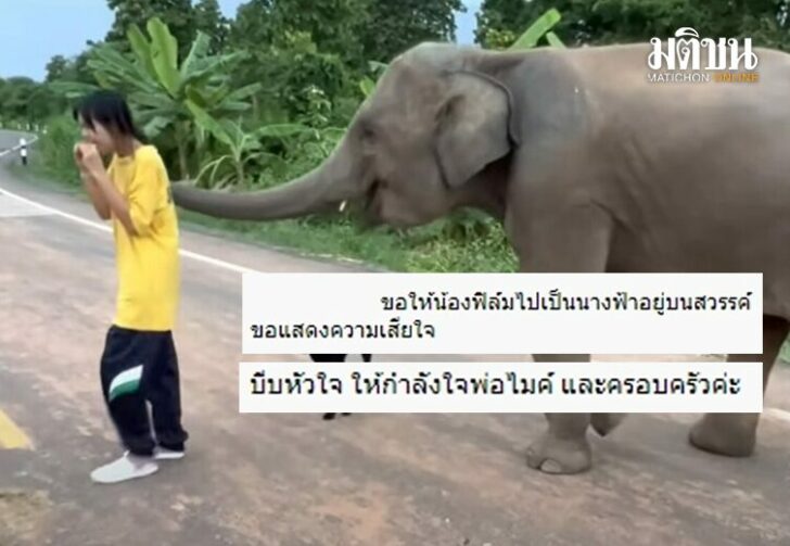 อาลัยน้องฟิล์ม02