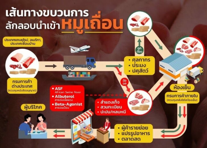 เส้นทางหมูเถื่อน