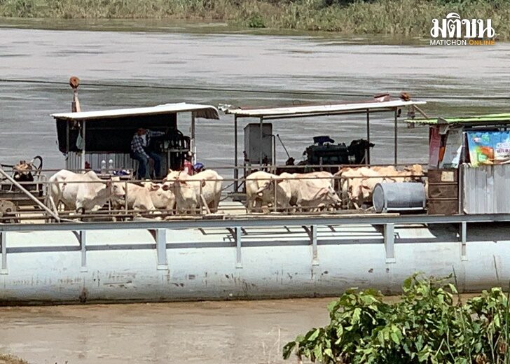 โคพม่า