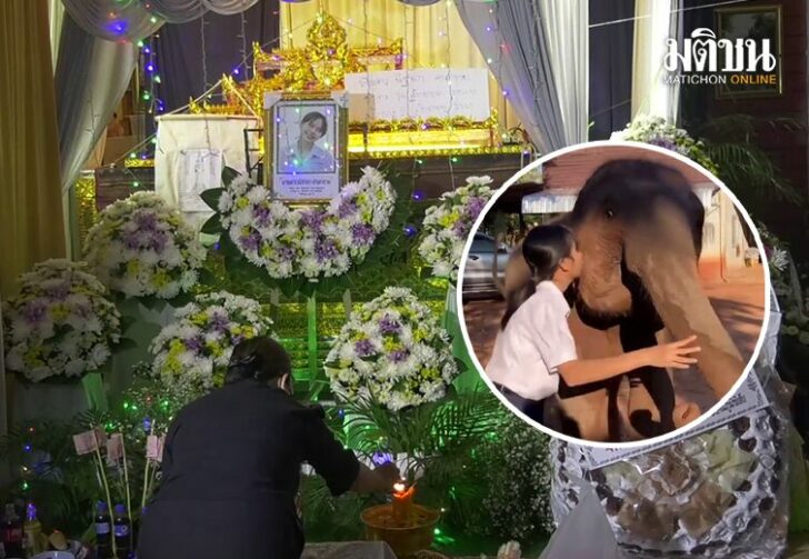 ไม่พบรอยถูกทำร้าย02