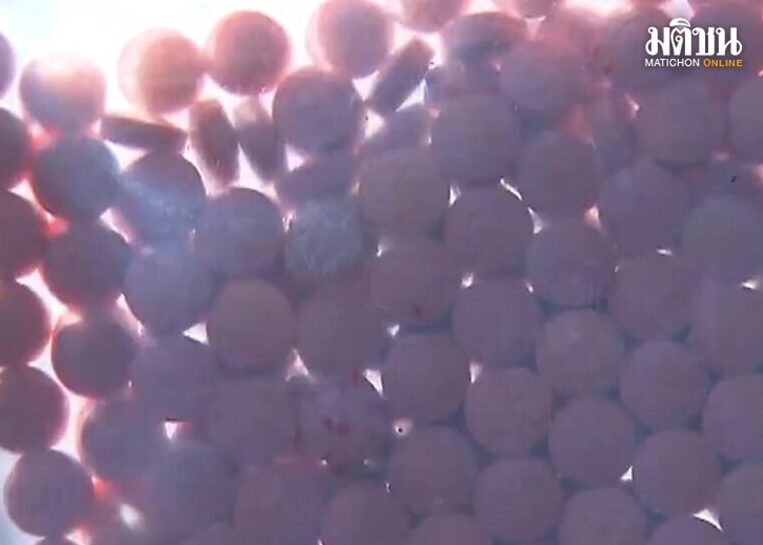 ชายเกาหลีใต้ขนยาอีจากไทยกลืนลงท้อง 'ถุงแตก' ไม่รอดชีวิต