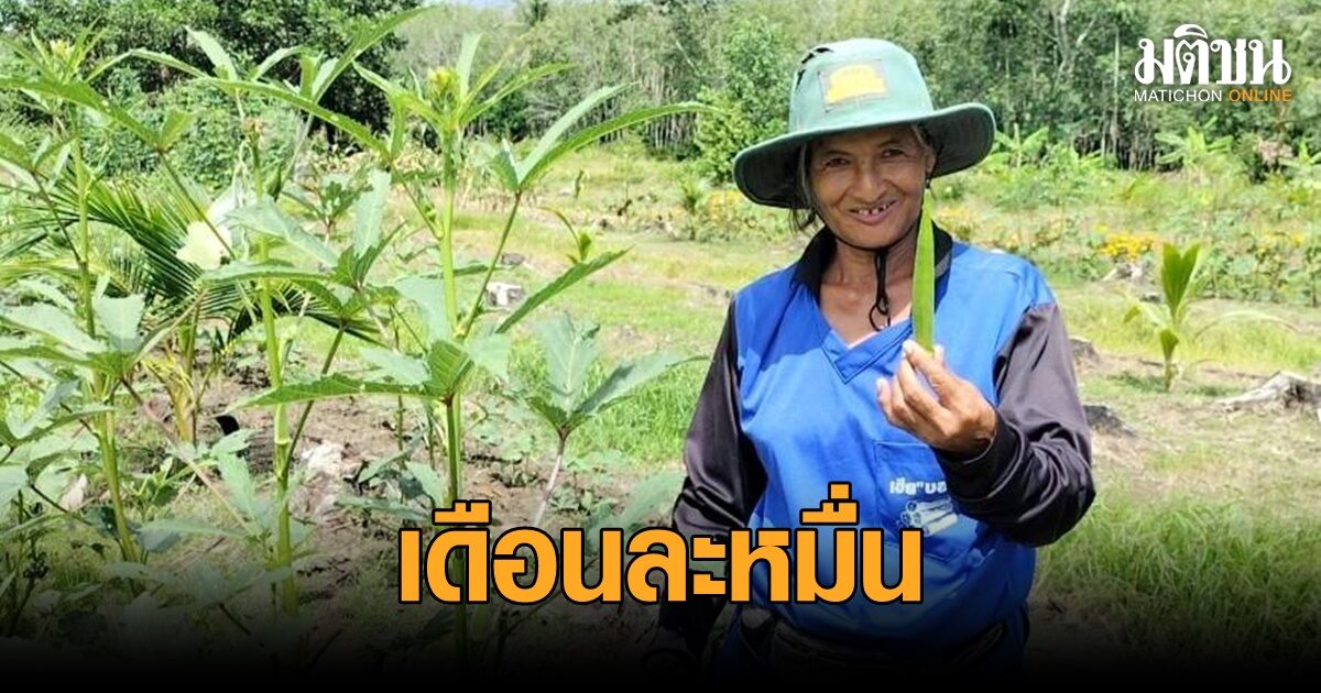 เกษตรกรสงขลา พลิกผืนดินครึ่งไร่ ปลูกผักสมผสาน สร้างรายได้เสริมเดือนละหมื่นบาท