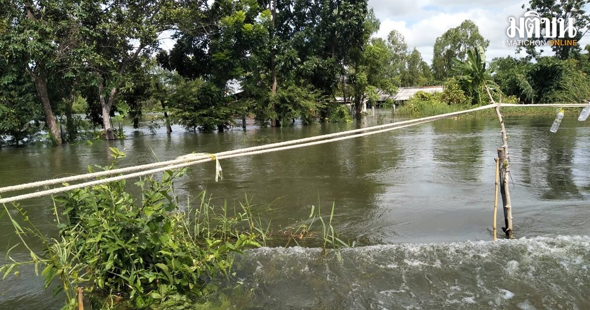 น้ำมูลทะลักท่วมบ้านเรือนประชาชนอพยพกางเต็นท์นอนริมถนน