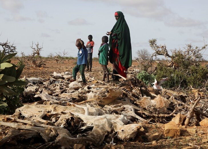FILE PHOTO: Internally displaced Somali woman and her children stand near the carcasses of their dead livestock following severe droughts near Dollow, Gedo Region