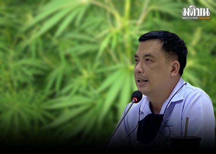 สถาบันกัญชาทางการแพทย์ แจง เจตนารมณ์ รัฐ เทียบ ยาบ้า มีแต่โทษ