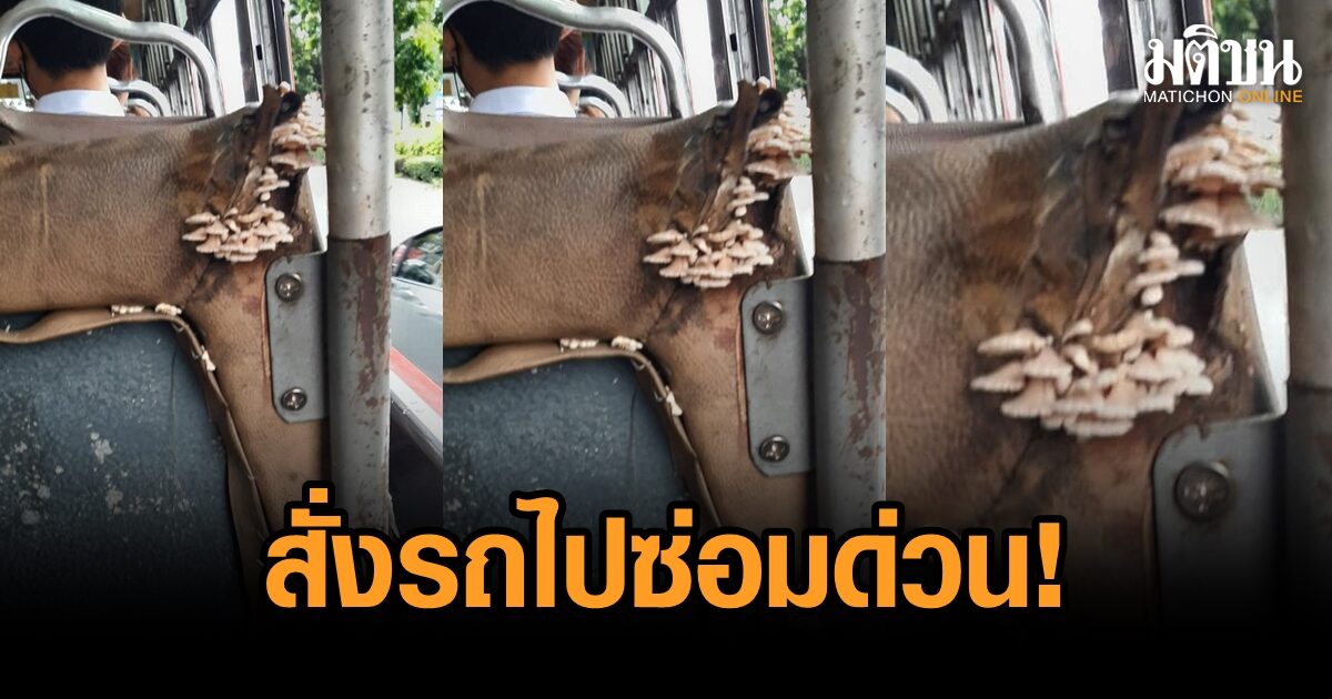 ขสมก.เต้น สั่งสาย 82 เปลี่ยนเบาะด่วน หลังเจอวิจารณ์ขรม ดอกเห็ดบาน บนรถเมล์
