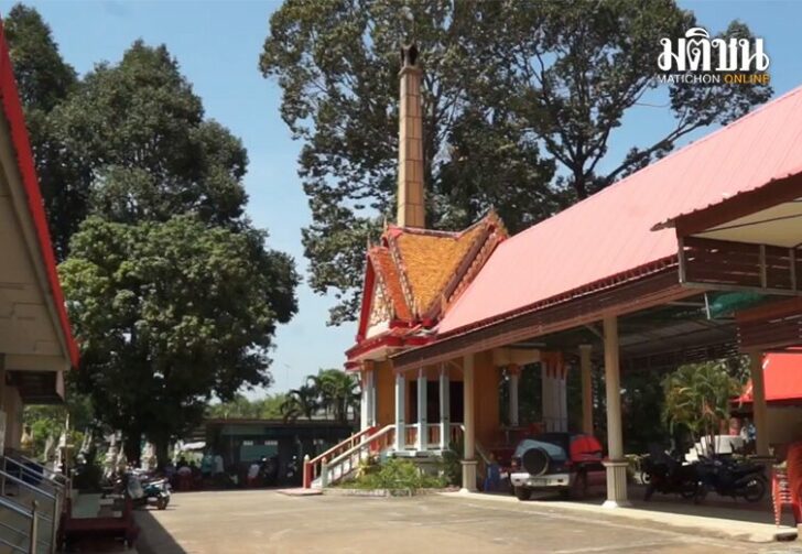 ขนาดเว็บตายาย654