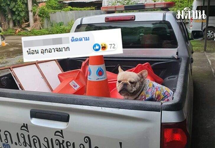 ขนาดเว็บอุกอาจมาก5465
