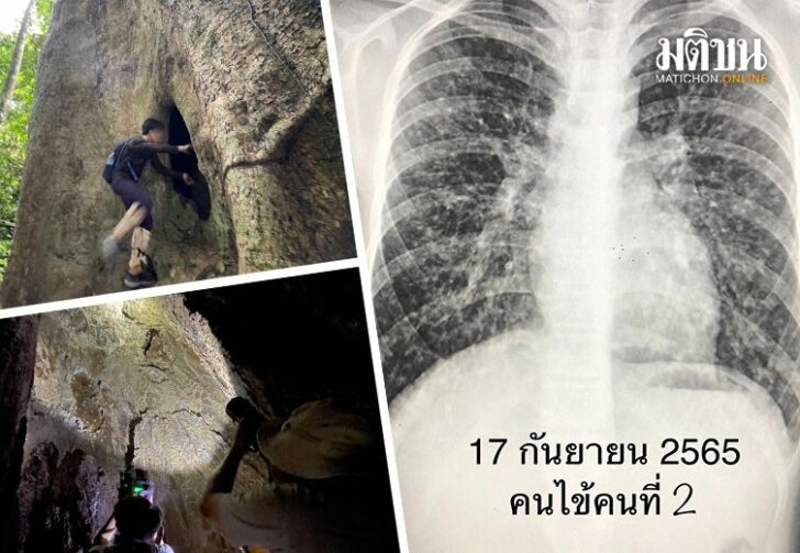ชมค้างคาว01