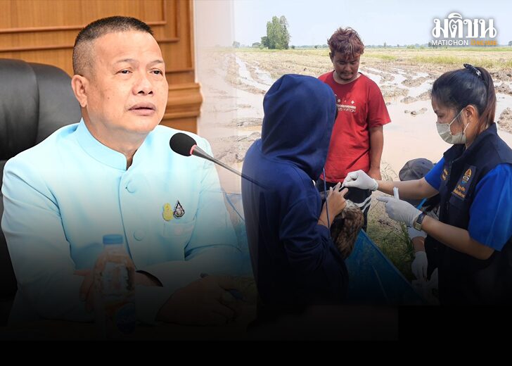 หวัดนกระบาด 01