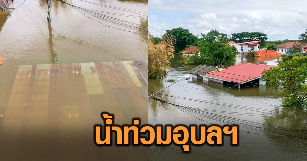 อุบลฯวิกฤต น้ำท่วมถึงหลังคา ไร่นาเสียหาย ปชช.ถามรัฐอยู่ไหน เร่งช่วยเหลือ