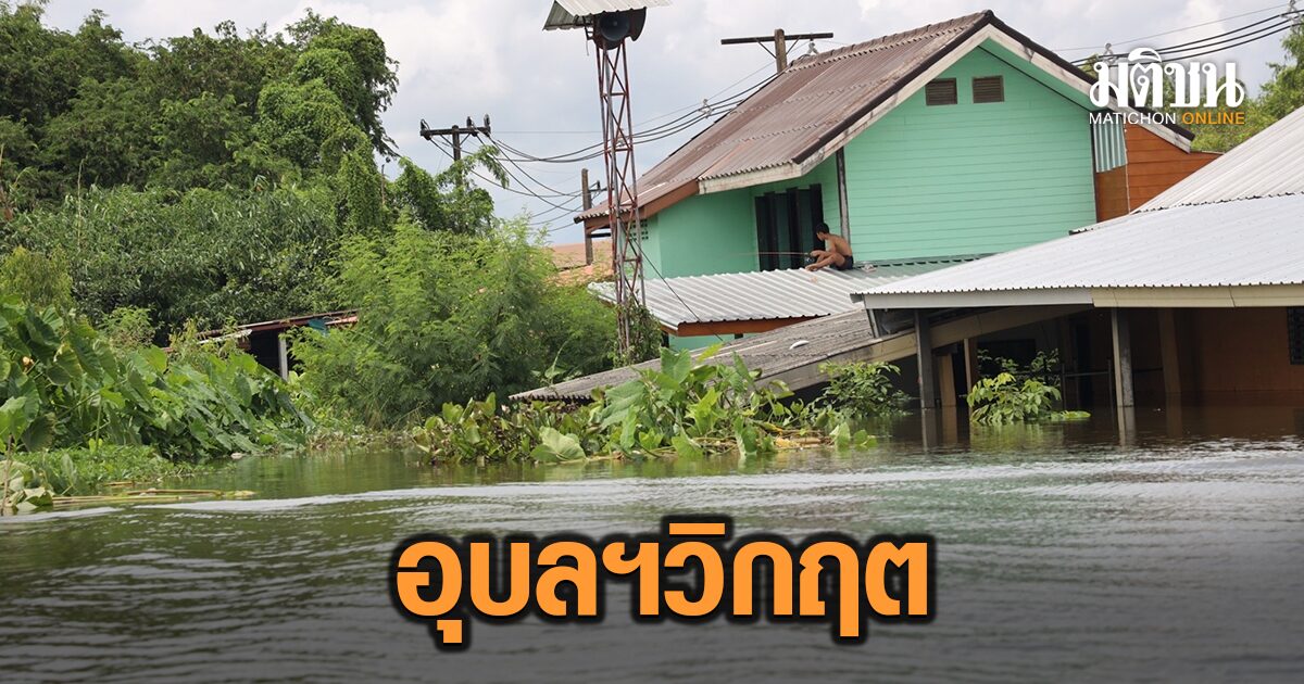 อุบลท่วมหนัก! ปชช.กางเต็นท์นอนหนาว ใช้ชีวิตบนหลังคา ทางขาดสัญจรเส้นเดียว