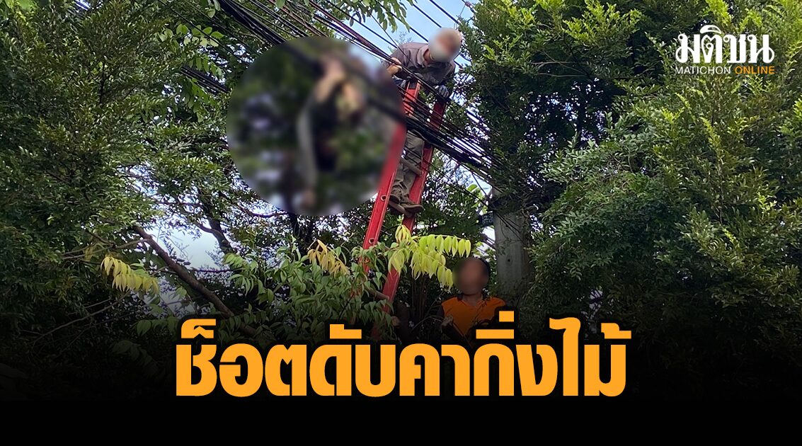 กรรมติดจรวด! หนุ่มแอบตัดสายสื่อสาร ถูกไฟช็อตติดกิ่งไม้ดับสยอง ผ่าน 2 วันไม่มีใครเห็น