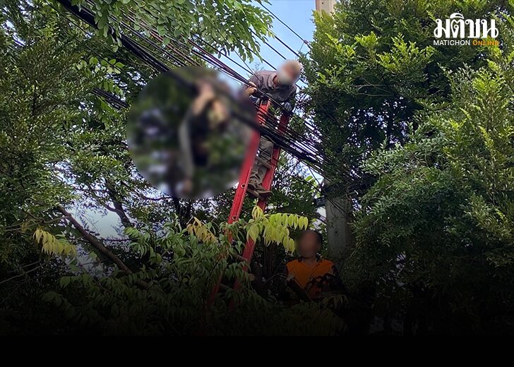 ไฟช็อตดับ