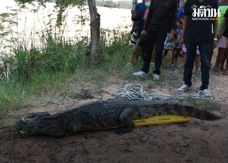 ไอ้กุด6