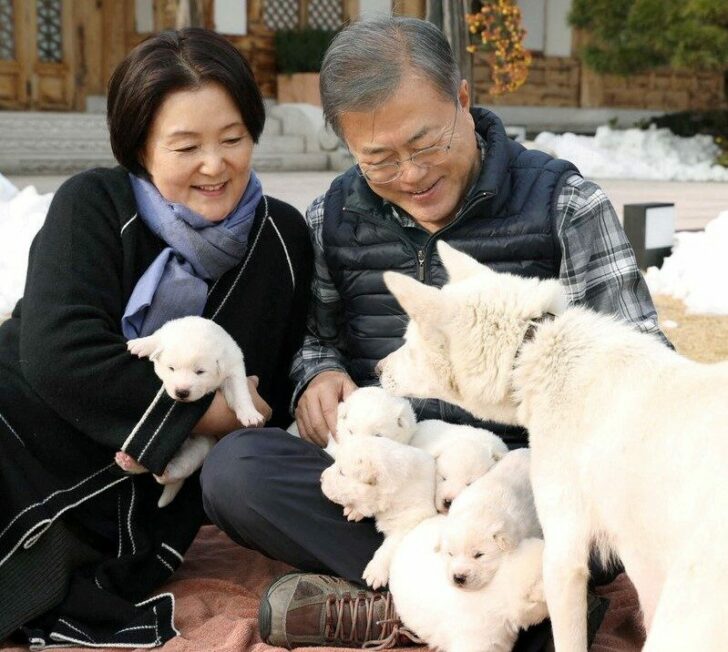 FILE PHOTO: South Korean President Moon Jae-in and first lady Kim Jung-sook hold puppies born from a hunting dog gifted from North Korea, in Seoul