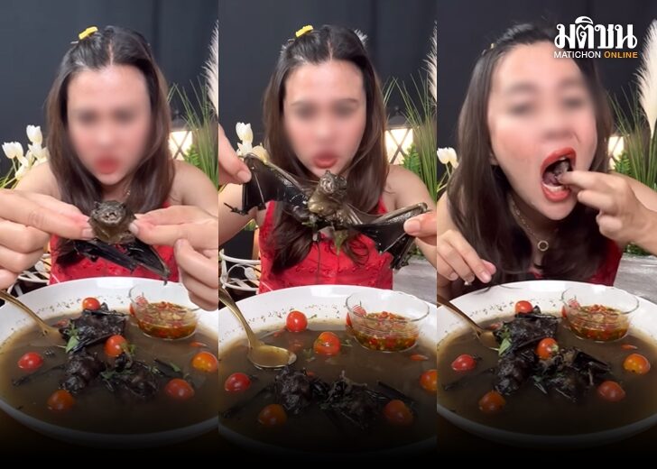 กินค้างคาว 728