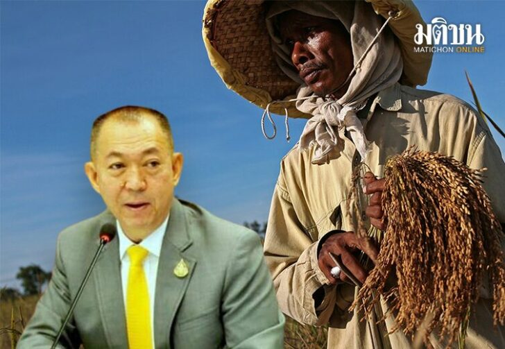 ขนาดเว็บขอบคุณชาวนา