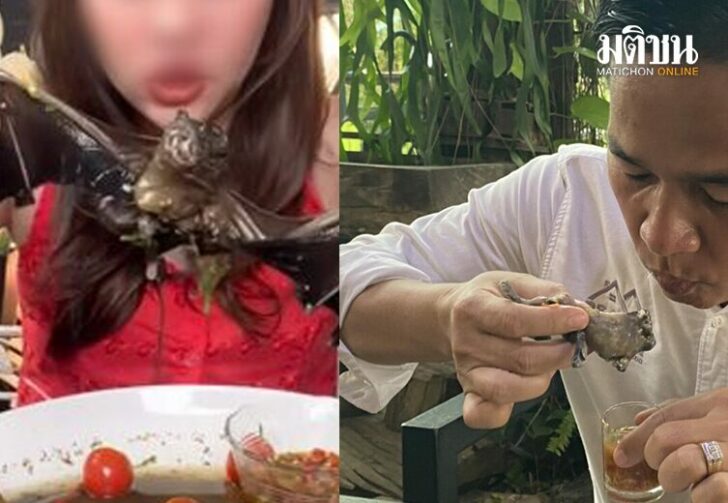 ขนาดเว็บไม่สู้1651