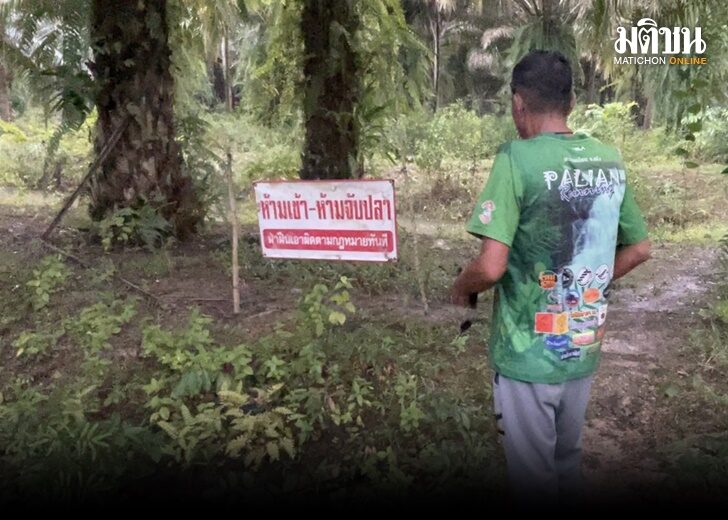 ปลา