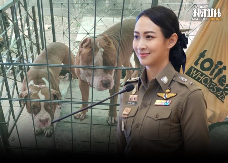 หมา ตร. 728