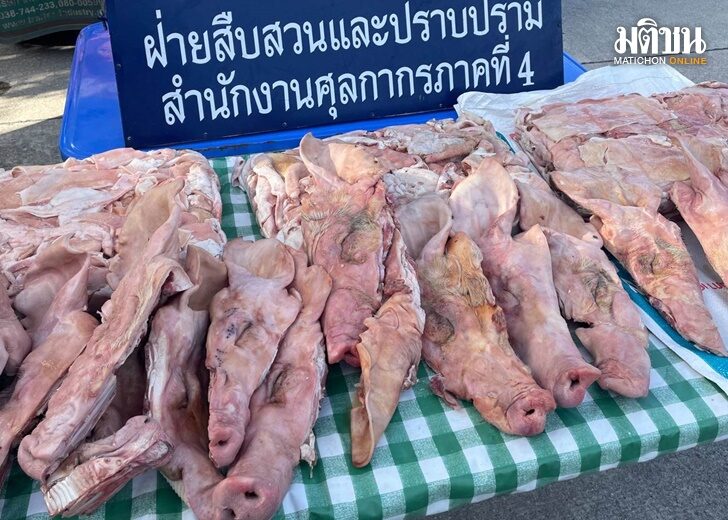 หมู