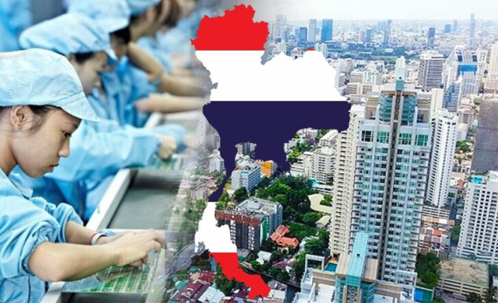เสือตัวที่5