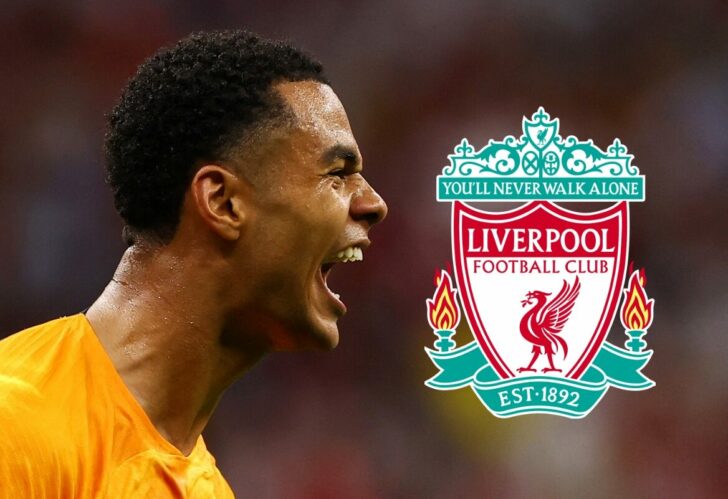 FIFA World Cup Qatar 2022 - Group A - Netherlands v Qatar