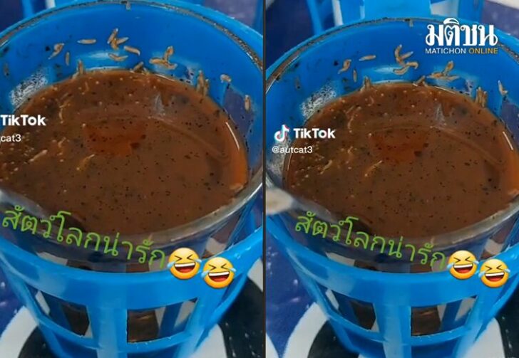 ขนาดเว็บซู่