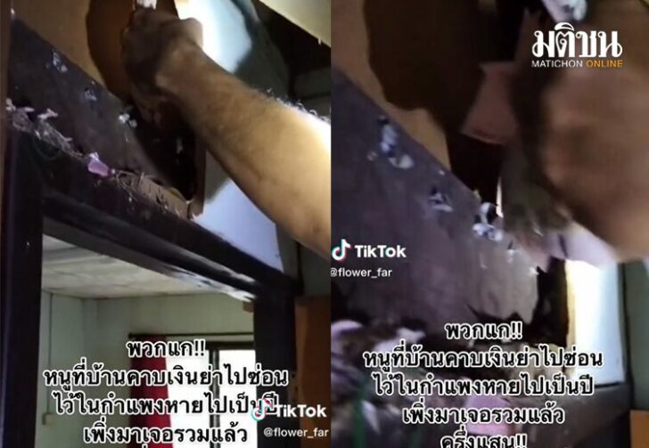 ขนาดเว็บซ่อนในกำแพง51