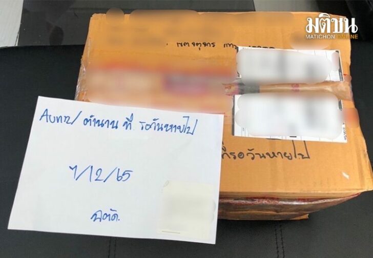 ขนาดเว็บตำนาน151