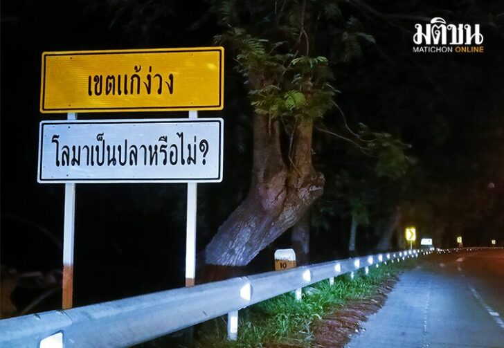 ขนาดเว็บโลมา