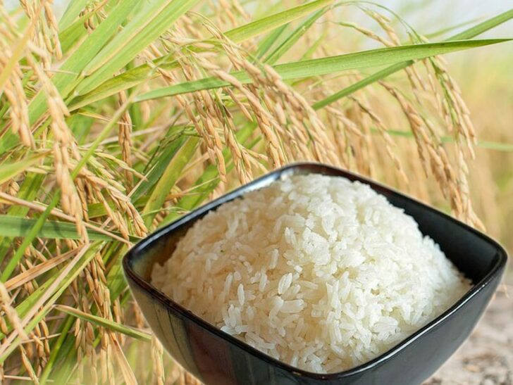 ภป-โอ้ข้าวไทย