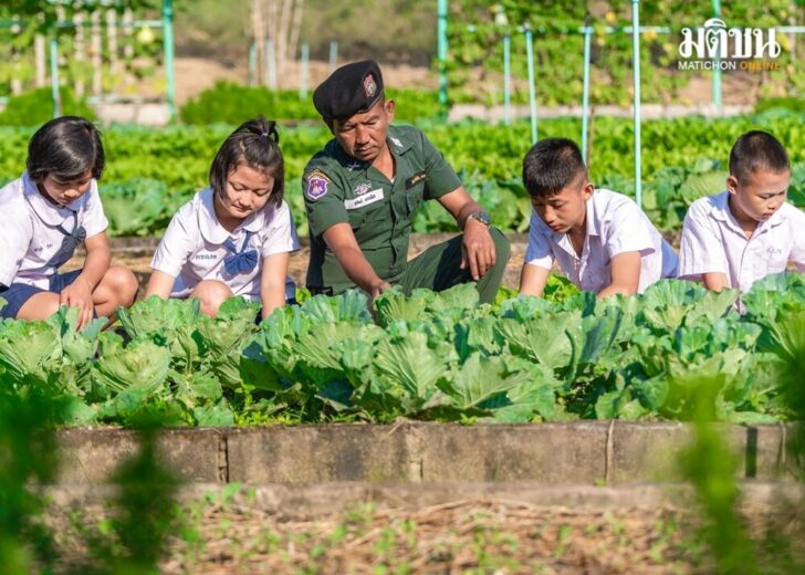 โครงการฟาร์มสุขภาพของหนู_แอมเวย์ 1