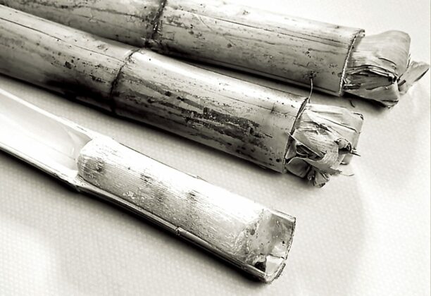 “ปลายหนาว เข้าร้อน” เผาข้าวหลาม เซ่น “ผีฟ้า” เผาข้าวเปลือก ส่ง “แม่โพสพ”