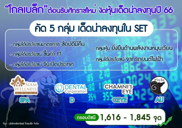 S__31686671