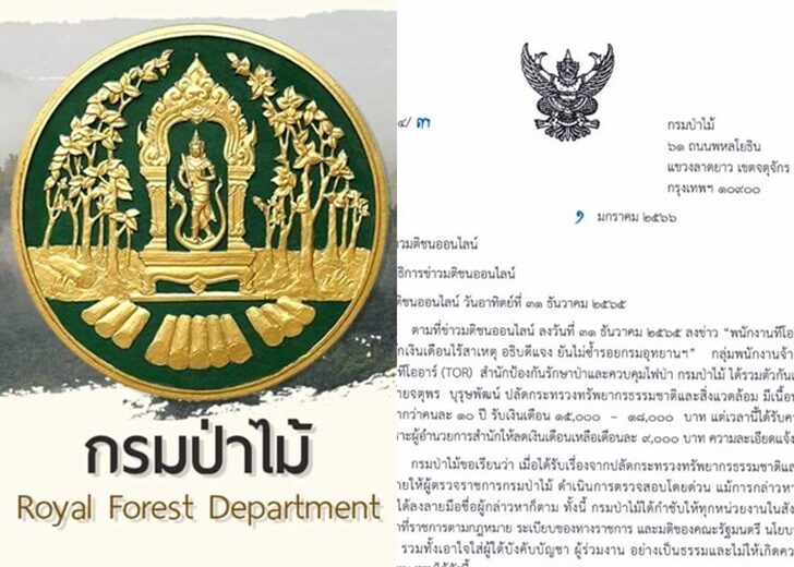กรมป่าไม้แจง3