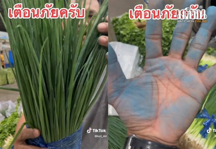 ขนาดเว็บต้นหอมมือฟ้า