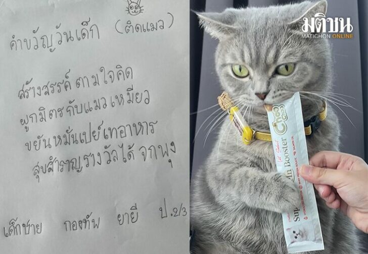 ขนาดเว็บเด้กติดแมว